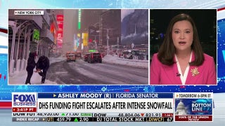 Democrats want the US government to stop enforcing immigration laws, GOP lawmaker says