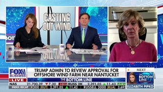 Ocean, marine life in ‘jeopardy’ from offshore wind farms, says ACK FOR Whales board member
