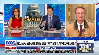 'WANT TO DESTROY THE COUNTRY': Dems called out over DHS fight