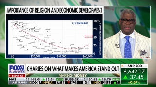 ‘No wealthy nation comes close’ to the US in this quality: Charles Payne