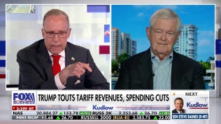 The use of AI could lead to a ‘more effective America,’ says former House speaker