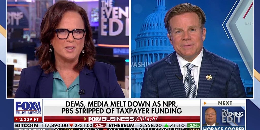 Congress made the ‘right decision’ to defund NPR, PBS, says Florida lawmaker