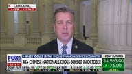 Border crisis is 'solely the responsibility' of Biden, Harris: Rep. Andy Ogles