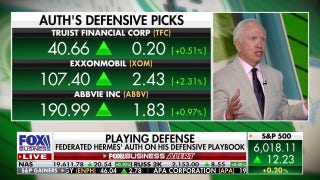 Federated Hermes CIO: These stocks will have a big bounce when economy stabilizes