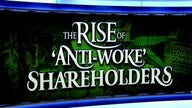 Shareholders at dozens of big companies avoiding DEI, ESG proposals