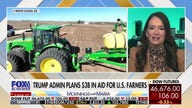 Trump plans $3B in aid to help US farmers hit by Democrats' shutdown 