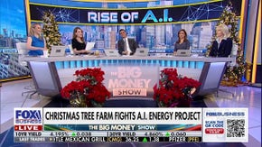 Christmas tree farm fights proposed energy project - Fox Business News