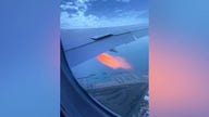Flames trail from Boeing jet following bird strike
