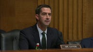 Sen. Tom Cotton grilled CEOs on “woke” policies during a hearing on a potential merger between the Kroger and Albertsons grocery chains