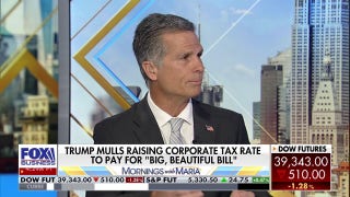 Democrats are showing how ‘out of touch’ they are with ‘95%’ of Americans, rep says - Fox Business Video