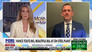 GOP rep slams opposition over 'big, beautiful bill' narrative: 'Bag of lies'