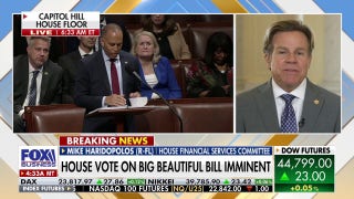 Democrats have 'gone back to the Soviet playbook of 1917,' GOP rep says