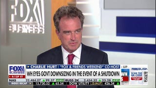 Democrats are going to pay a political price if the government shuts down, Charlie Hurt warns