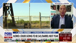 James Iuorio predicts crude oil at $45 per barrel next year