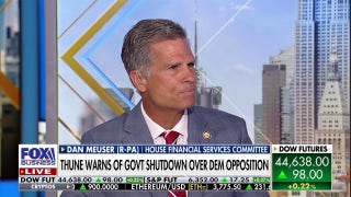 Democrats are 'flailing away, trying to get attention' over potential government shutdown, GOP rep says