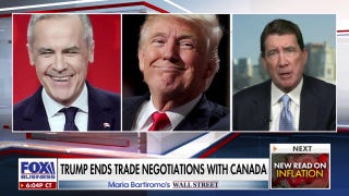 Canada's trade with the US has 'always been lopsided,' argues GOP senator