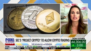 Expert touts SEC's 'Project Crypto' announcement: 'This is innovation'
