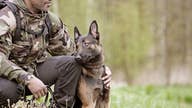 Watch US military dogs in action, protecting freedom