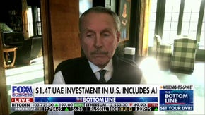 The UAE is looking for strategic partners around the world, says former ambassador