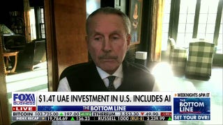 The UAE is looking for strategic partners around the world, says former ambassador