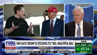 Gingrich says 'very few' lawmakers will take Musk seriously over 'big, beautiful bill' critique