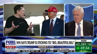 Gingrich says 'very few' lawmakers will take Musk seriously over 'big, beautiful bill' critique