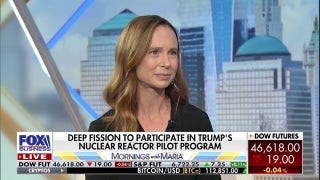 Nuclear energy powering AI is a 'national security issue': Expert