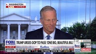 Businesses are looking for economic certainty and we want to give them that: Senate Majority Leader Thune