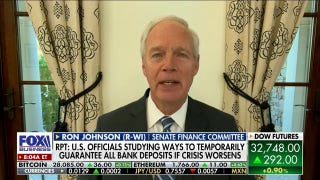 Janet Yellen is 'completely denying reality': Sen. Ron Johnson - Fox Business Video