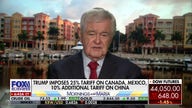 Canada is not a 'big enough country economically to have head on fight' with US: Newt Gingrich