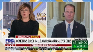 GOP lawmaker praises Trump's 'brilliant' Israel-Iran ceasefire agreement