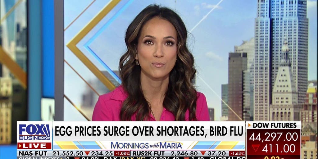 Egg prices skyrocket amid shortages, bird flu outbreak | Fox Business Video