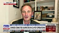 California pot operations: James Gallagher warns of Chinese crime ties