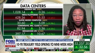 If companies pull back on AI spending, it sends a ‘signal’ to the market: Portfolio manager