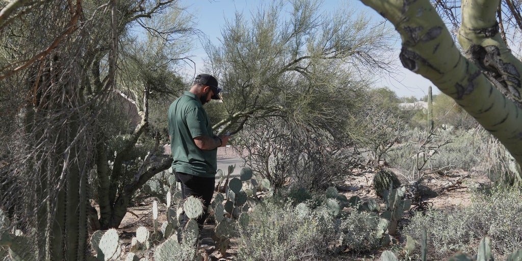 The Will Cain Show - Thursday, February 12