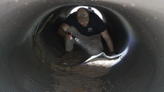 The Story With Martha MacCallum - Wednesday, February 11 - Fox News