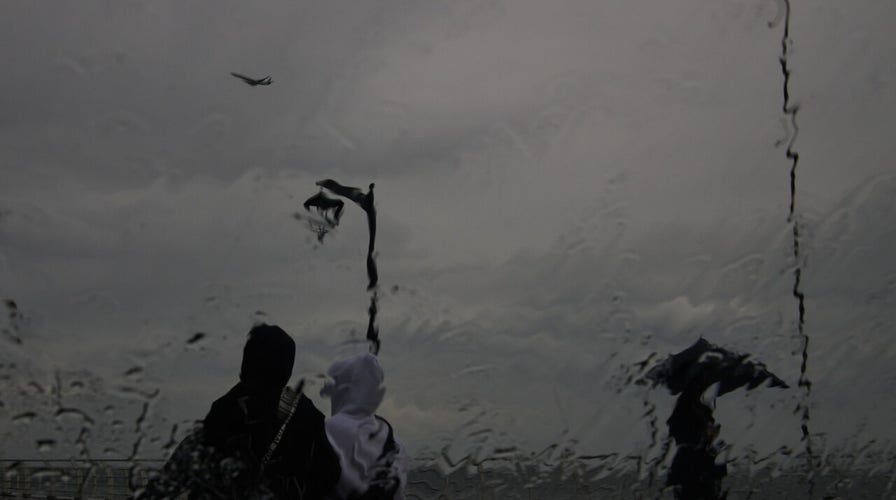 Special Report With Bret Baier - Friday, November 14