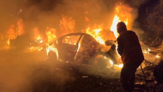 The Five - Tuesday, March 31 - Fox News