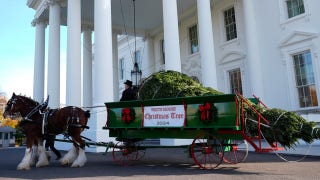 The Five - Friday, November 29 - Fox News