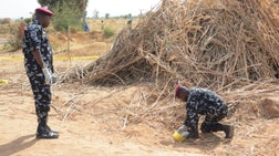 The Five - Friday, December 26