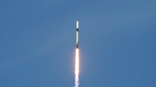 Fox News @ Night - Friday, March 14 - Fox News