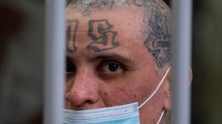 Outnumbered - Wednesday, April 2 - Fox News