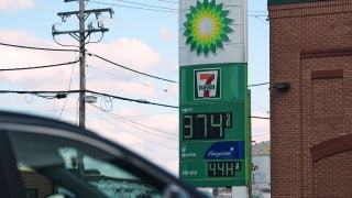 The Story With Martha MacCallum - Thursday, March 19 - Fox News