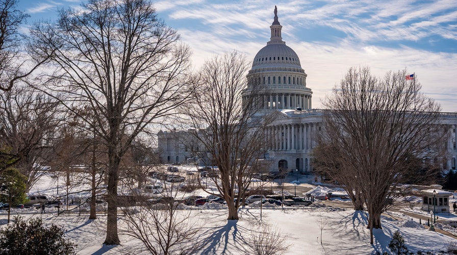 Outnumbered - Thursday, January 29