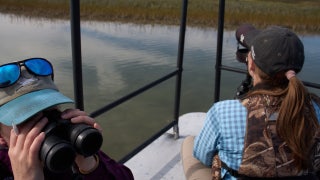 The Bottom Line - Friday, December 26 - Fox Business Video