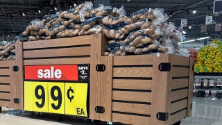 Outnumbered - Tuesday, November 25 - Fox News