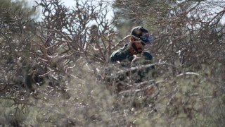 The Faulkner Focus - Wednesday, February 11 - Fox News