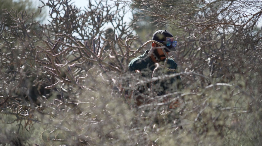 The Faulkner Focus - Wednesday, February 11