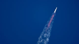 Title: The Five - Tuesday, November 19 - Fox News