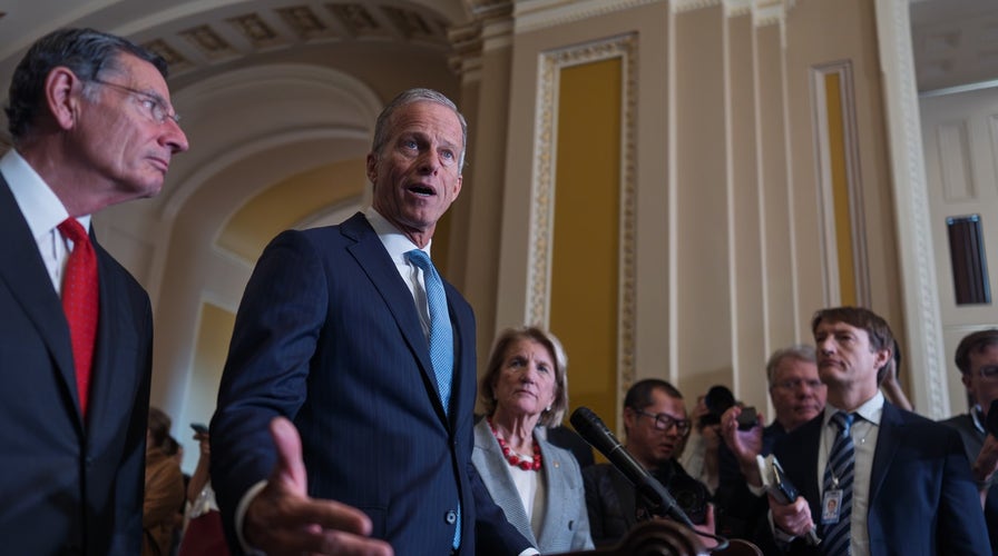 The Five - Wednesday, November 19